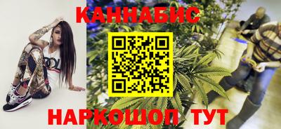крисы Шелехов