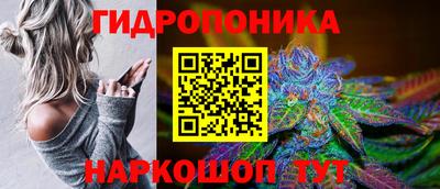 крисы Шелехов