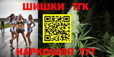 крисы Шелехов