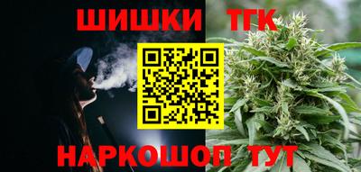 крисы Шелехов