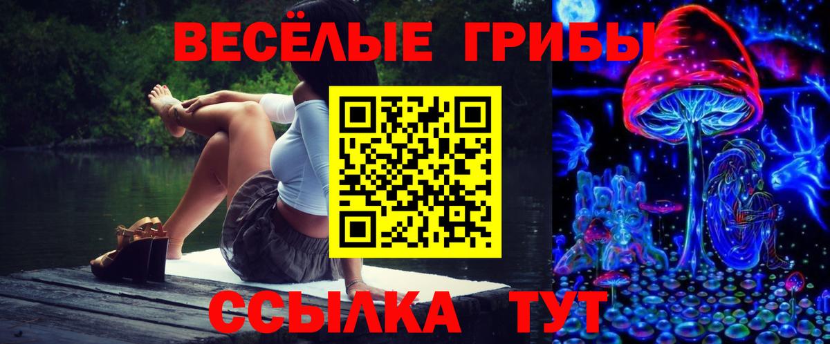 Псилоцибиновые грибы MAGIC MUSHROOMS  Вход с VPN  Вольск 